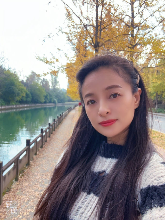成都這裡的銀杏樹很有味道