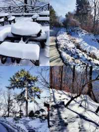 雪後的終南山太美了