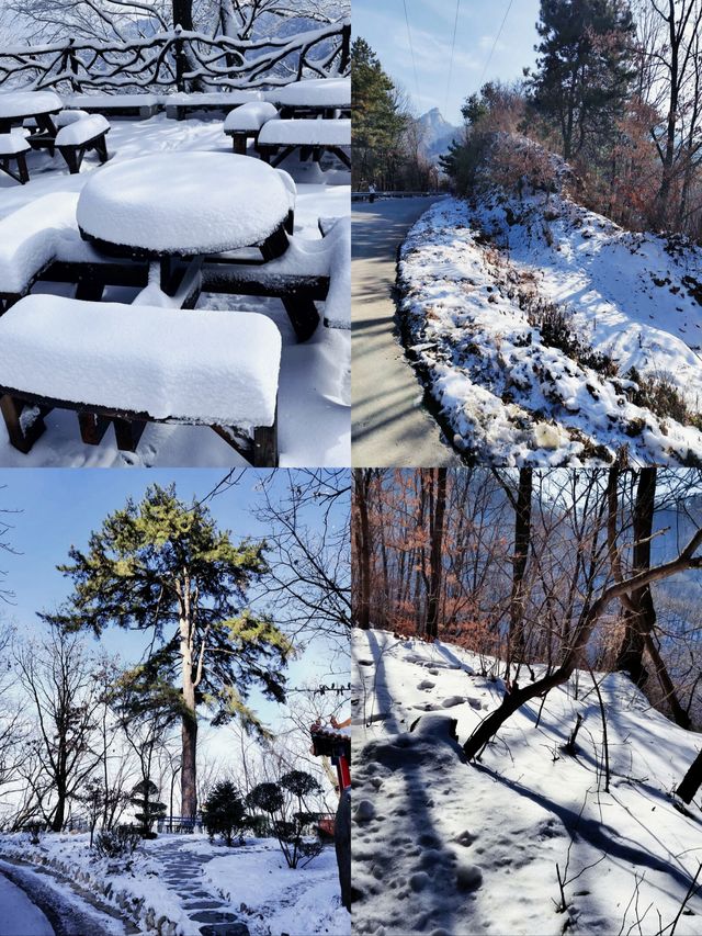 雪後的終南山太美了