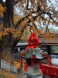 臨沂費縣叢柏庵，山寺清幽，來者皆誠！