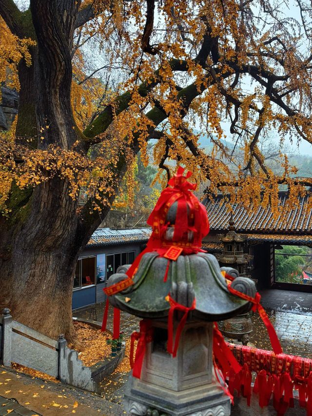 臨沂費縣叢柏庵，山寺清幽，來者皆誠！