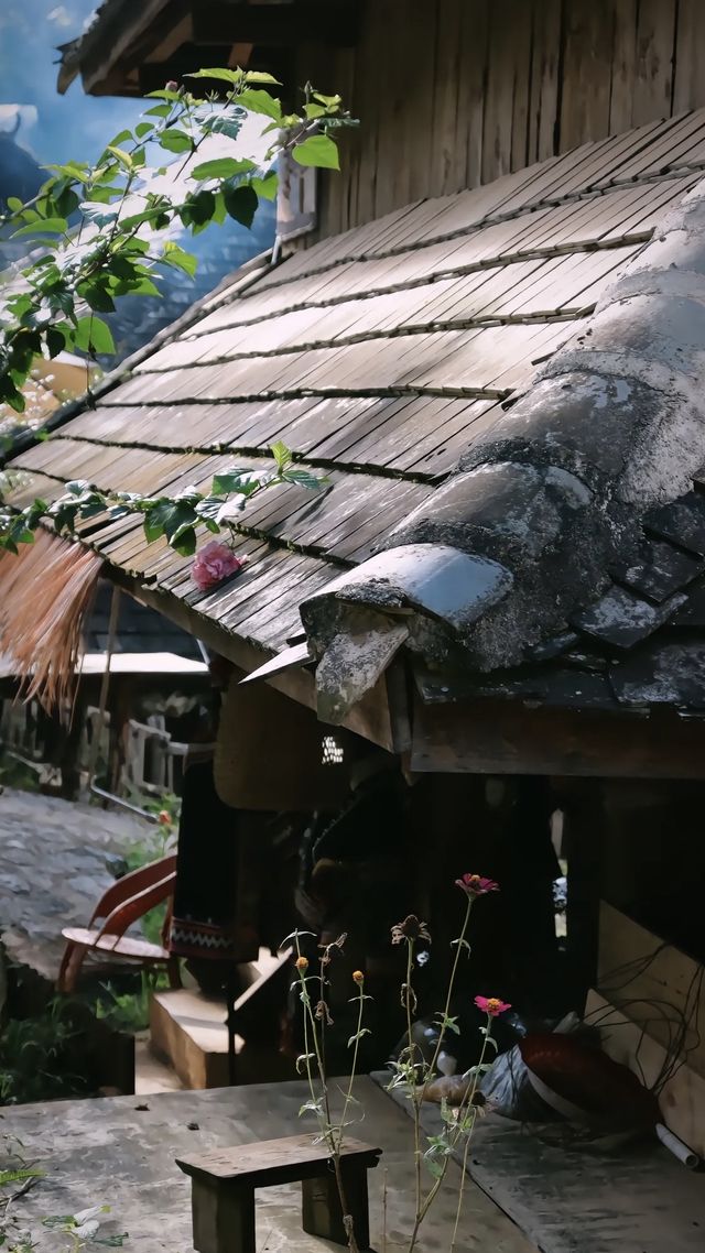 景邁山人少又安逸