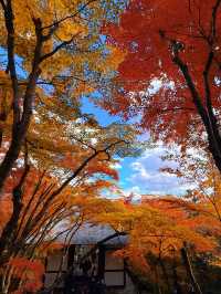 京都紅葉季最不能錯過的地方—常寂光寺