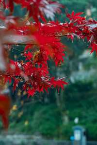重慶石門公園遊玩
