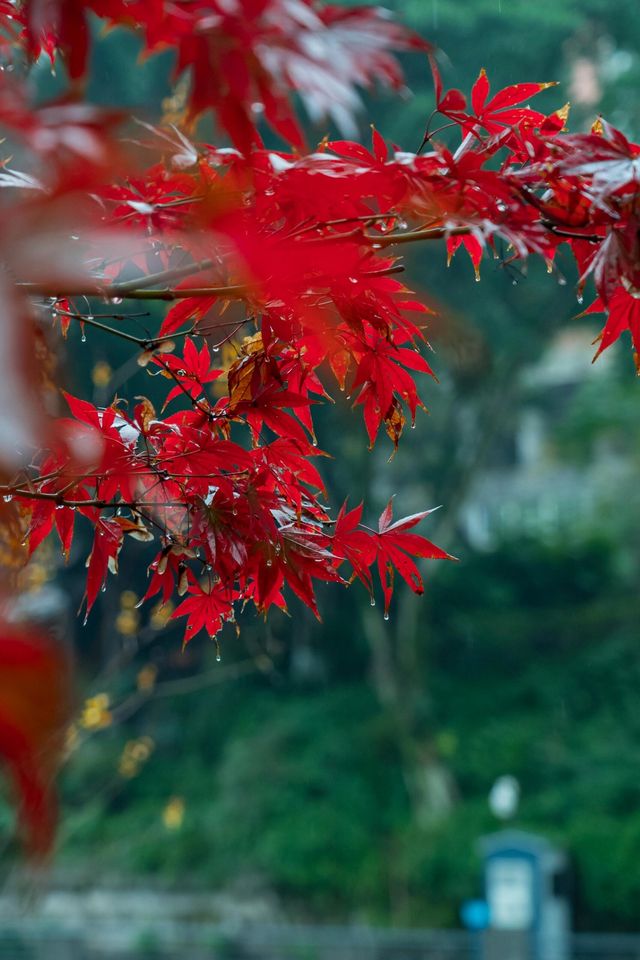 重慶石門公園遊玩