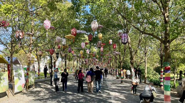 遊上海：花開海上生態園