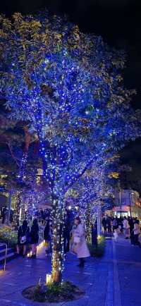【打卡地標】藍調的東京晴空塔，令聖誕夜如此迷夢～