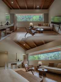 到隨州，探索銀杏秘境！