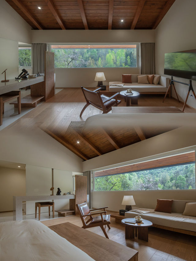 到隨州，探索銀杏秘境！