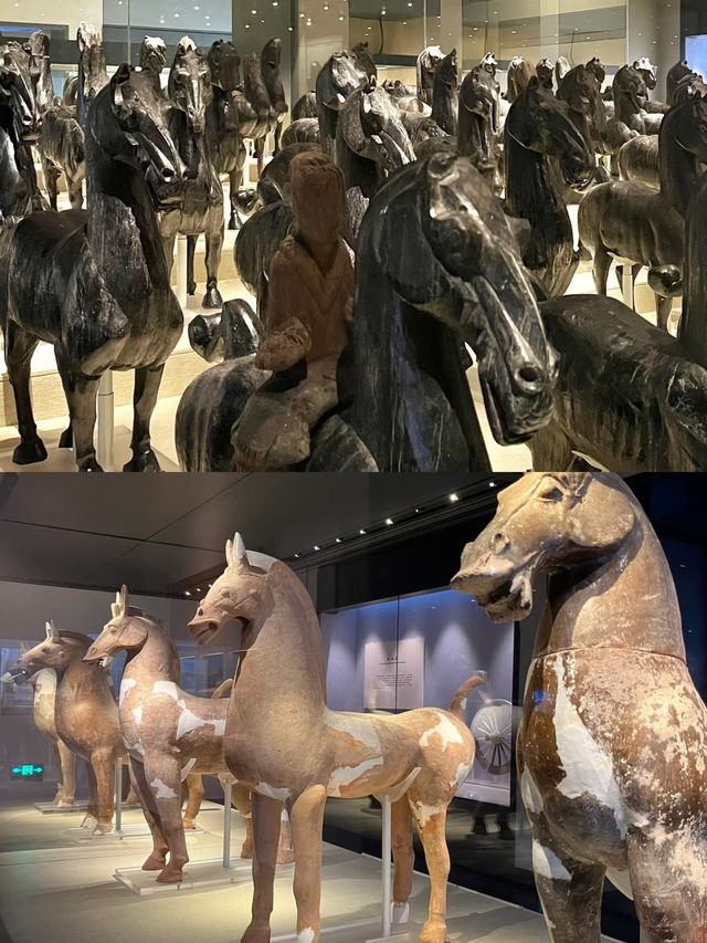綿陽博物館之旅，與歷史邂逅的瞬間