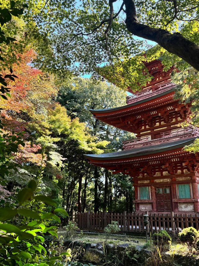 日本溫泉秘境去了就不想回家