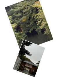 【名古屋必去！德川園，一步一景的古典美】
