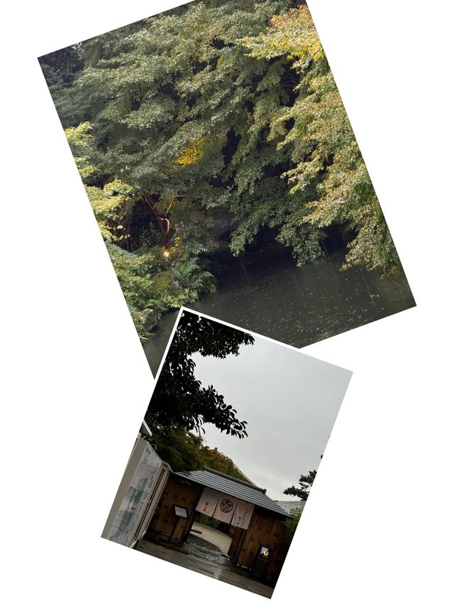 【名古屋必去！德川園，一步一景的古典美】