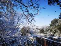 邂逅海子山的雪，邂逅一場夢幻