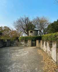 嘉興乍浦九龍山國家森林公園，一場自然與歷史的盛宴