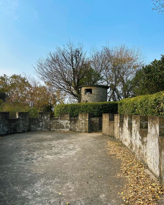 嘉興乍浦九龍山國家森林公園，一場自然與歷史的盛宴