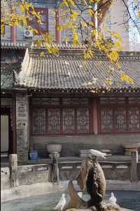 大興善寺的臘梅開了