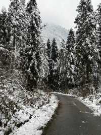 成都周邊一個小時就能到達這個玩雪聖地！