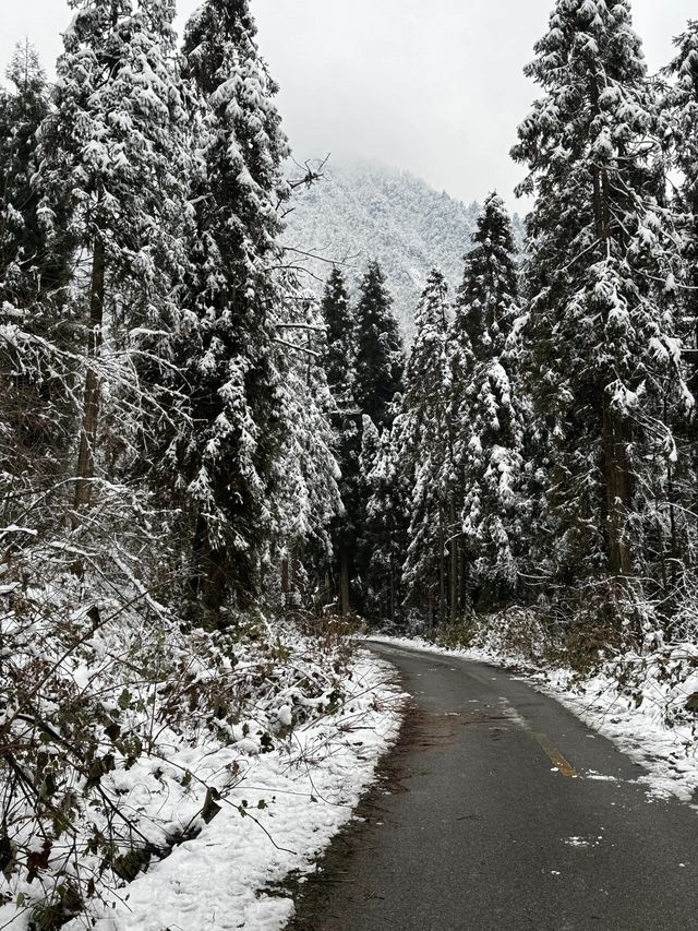 成都周邊一個小時就能到達這個玩雪聖地！
