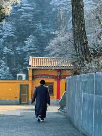 九華山‖一人遊