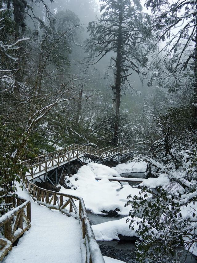 成都出發2h在白雪森林中發現藍冰瀑布