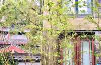 大美別院民宿體驗，一場夢幻之旅嘅完美邂逅！