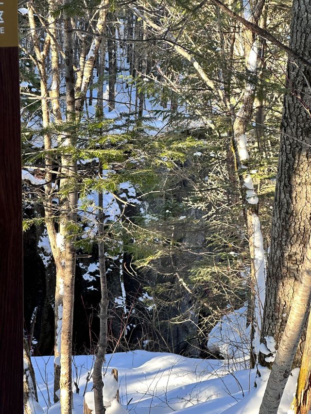 長春-長白山6日滑雪之旅小白也能變大pro