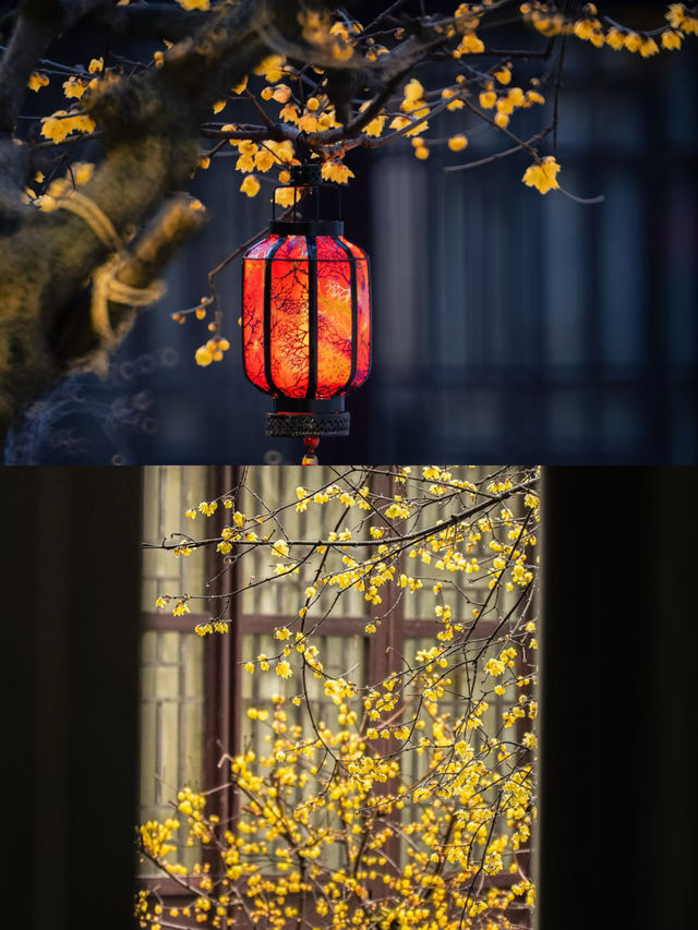 南京瞻園|中式旅行