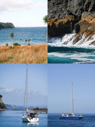 Whangarei, New Zealand: A Hidden Paradise Just 2 Hours Away by Car