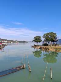 寧波人的「小洱海」——東錢湖利民村！！