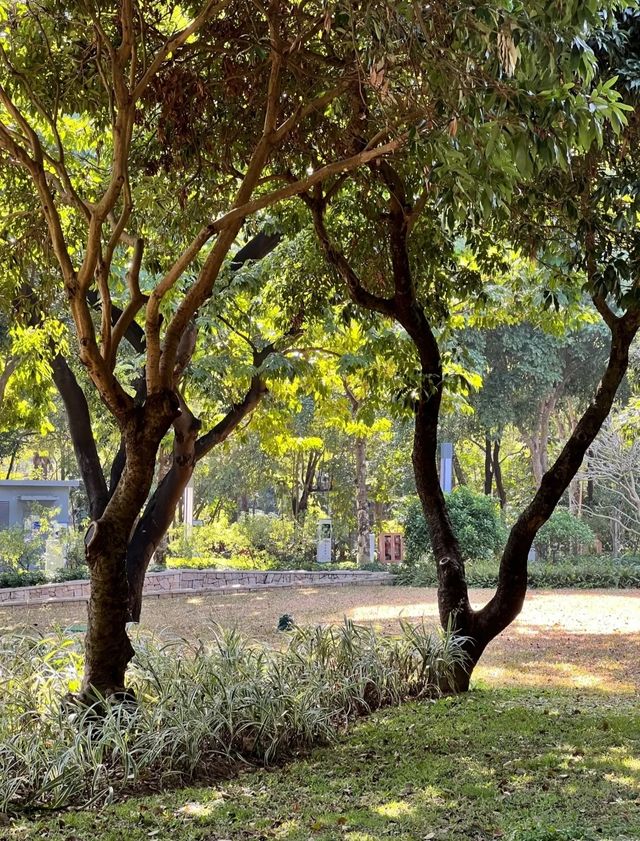 不愧是富人後花園，這很深圳