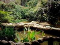 Changlu Farm: Great Experience in The 100% Quality Enterntainment Park
