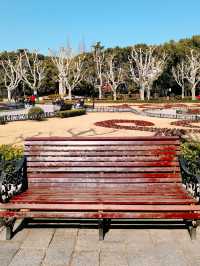 復興公園，冬日風韻