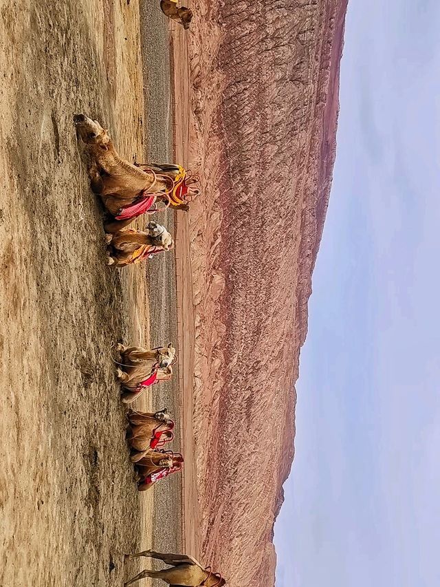 秋意濃阿勒泰地區-克拉瑪依 你不可錯過的秋日勝景
