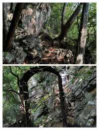 亞羅士打象嶼山，城郊的隱秘登山寶藏。