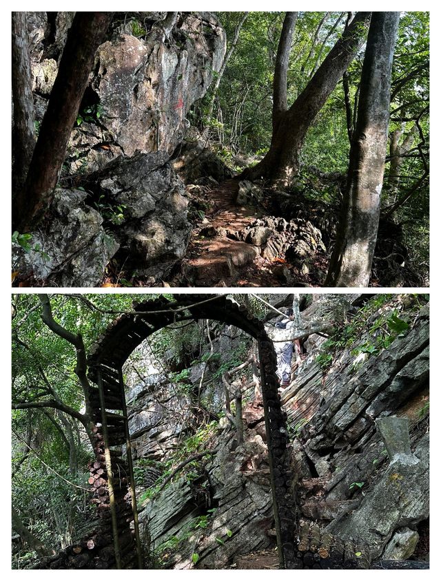 亞羅士打象嶼山，城郊的隱秘登山寶藏。