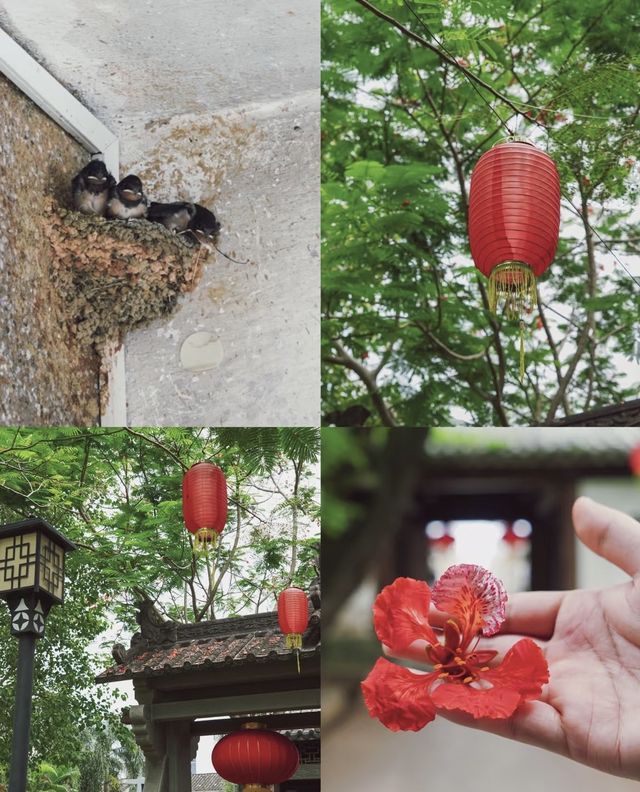 定安指南：一座自帶仙氣的低調古城