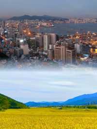 來韓國蔚山領略濱海風光