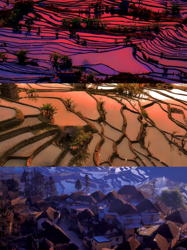 這個藏在紅河哈尼梯田世界文化遺產的村落。