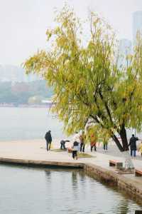 誰懂這是12月的烈士公園