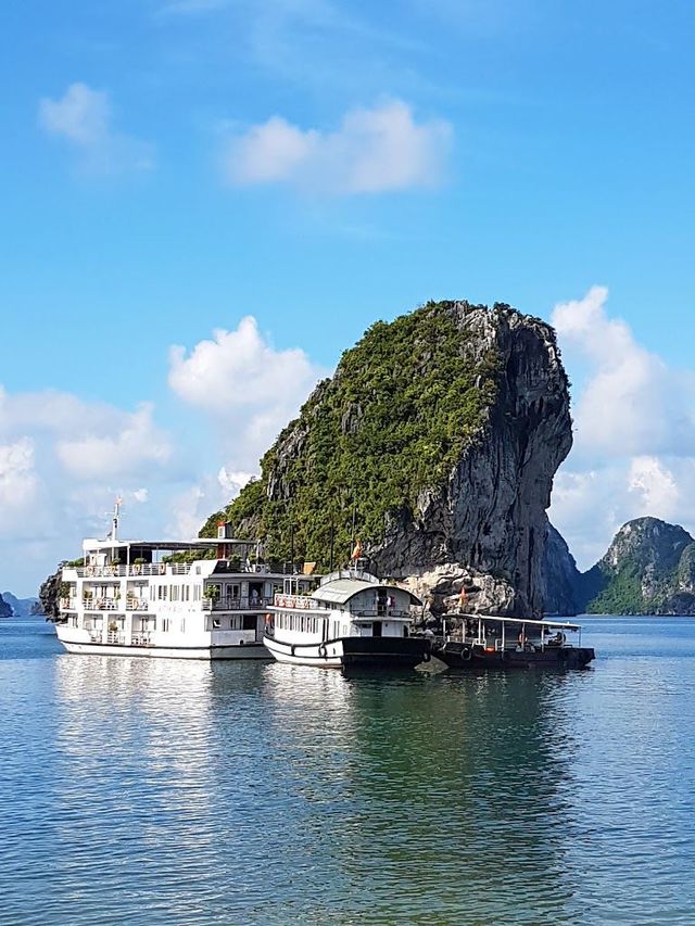 越南等多國連遊 老年人旅行優選攻略