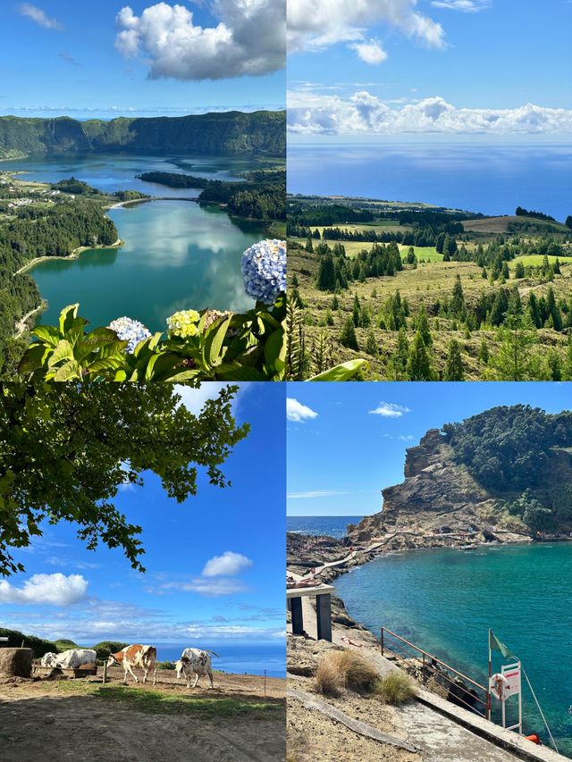 聖米格爾島：大西洋上的神秘花園