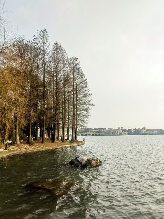 蘇州金雞湖李公堤，湖光山色中顯歷史韻味