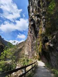 Senda del Oso: A Hidden Gem in Asturias 🌳🐻