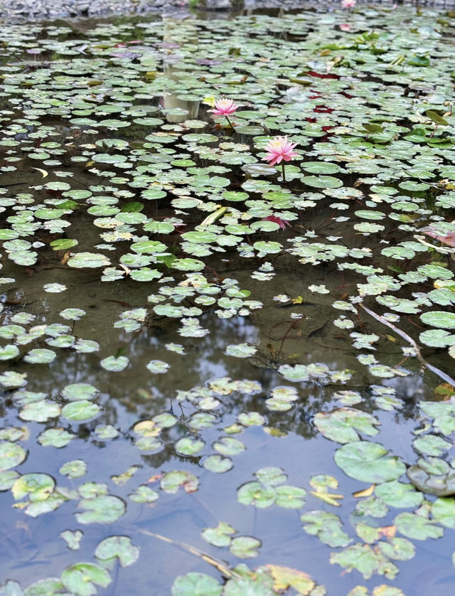 白蓮洞公園 別錯過珠海這個寶藏公園