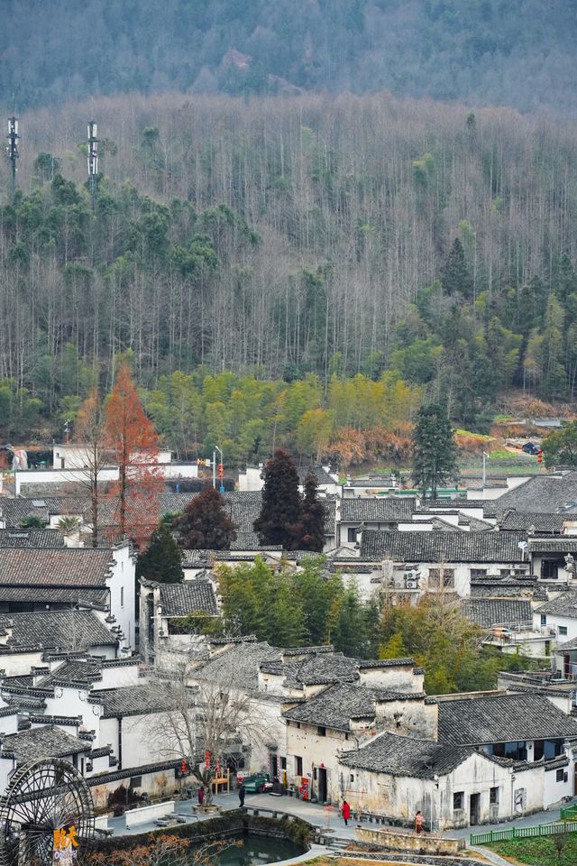 江西安徽｜南昌-婺源-黃山｜七天六夜旅行攻略