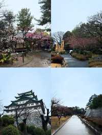 日本名古屋值得一遊 人少又好玩