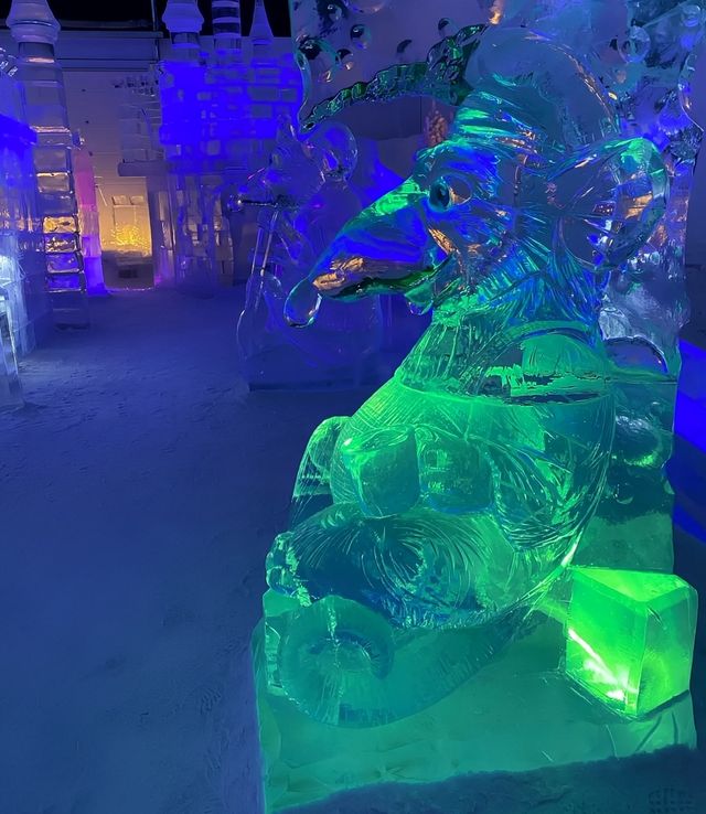 探索冰雪奇緣