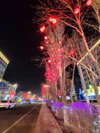 2 Days in Erenhot