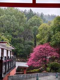 Relaxing Evening in Wuyi Tangfeng Hot Spring Resort 